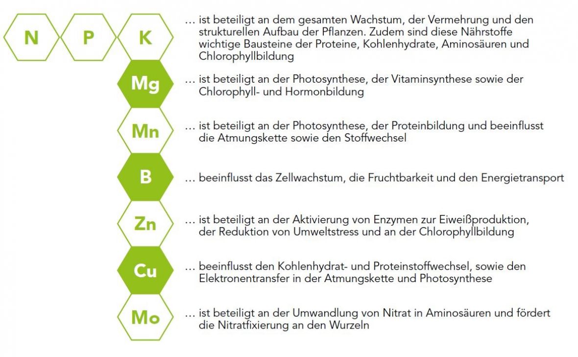 Ackerbau