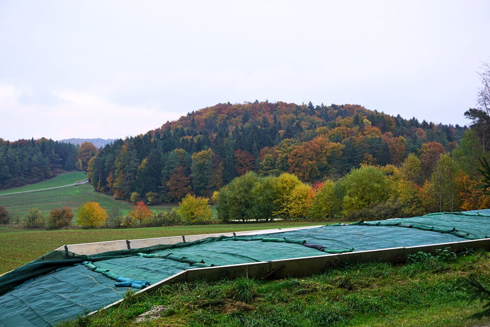 sortiment silo content