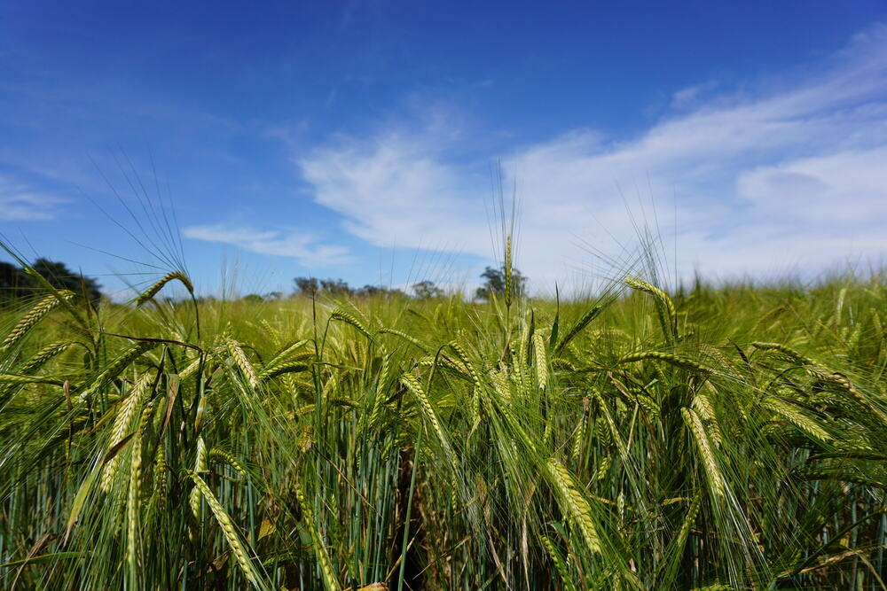 sortiment ackerbau content