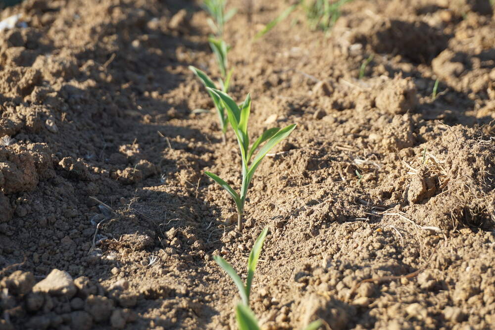 sortiment ökologischer landbau content